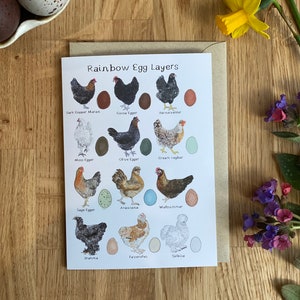 Rainbow Egg Layers Greetings Card, Chicken Card, Chicken gift, Easter Card, Bird Card, Hen Card, Chicken themed Gift image 2