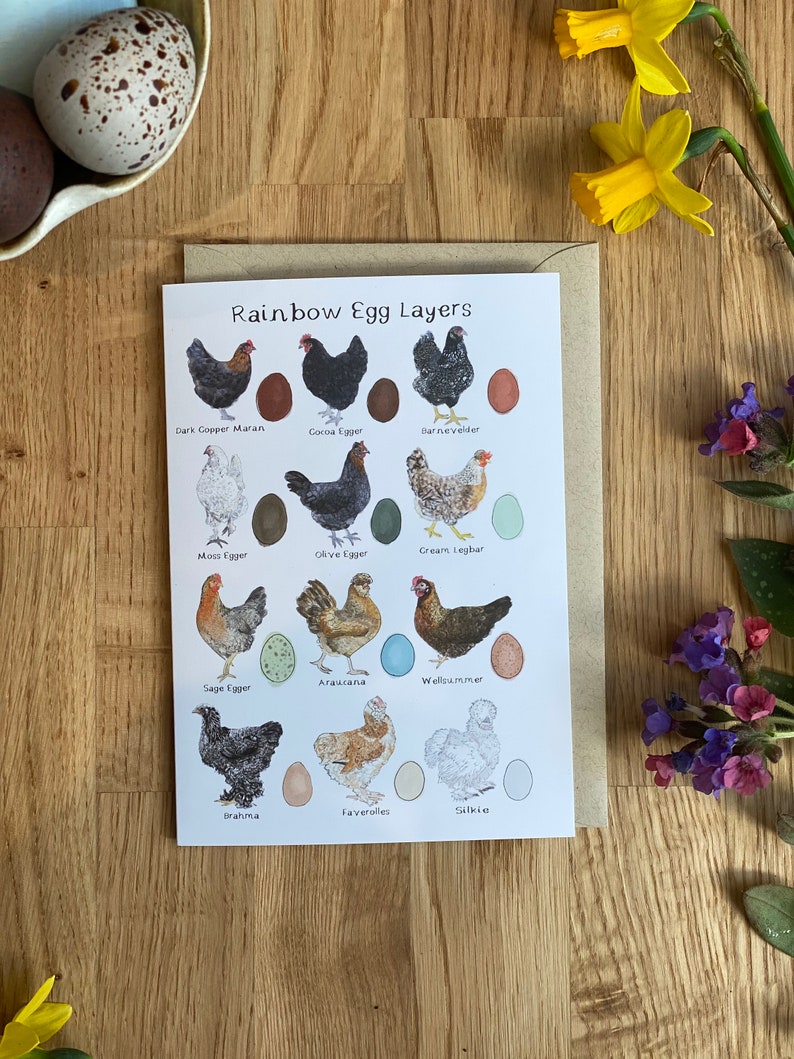 Rainbow Egg Layers Greetings Card, Chicken Card, Chicken gift, Easter Card, Bird Card, Hen Card, Chicken themed Gift image 2