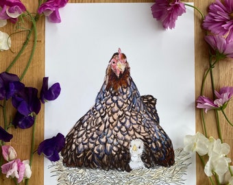 May include: A brown and black speckled hen with a red comb sits on a nest of hay with a small white chick nestled under her wing.