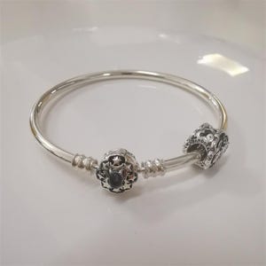 pandora s925 ale &#39;s aladdin and jasmine charm and bangle set