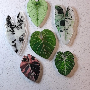 May include: A collection of six leaf-shaped resin art pieces. The leaves feature various patterns and colors, including green, white, black, and pink. The veins of the leaves are visible, and the pieces are arranged on a white speckled surface.