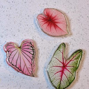 May include: Three leaf-shaped decorative items with silver edging. The leaves feature intricate veining and a glossy finish. One leaf is pink with red veins, another is pink with black outlines, and the third is green with red veins.