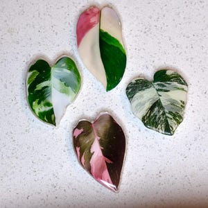 May include: Four decorative leaf-shaped resin pieces. The leaves feature a variety of colors, including pink, white, and green, with intricate veining details. The leaves are arranged on a white, speckled surface.