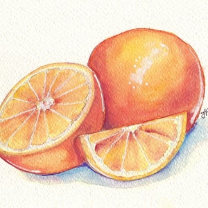 Oranges Still Life Watercolor Painting - Orange Fruit Slice Watercolor Art Print, 8x10 Print