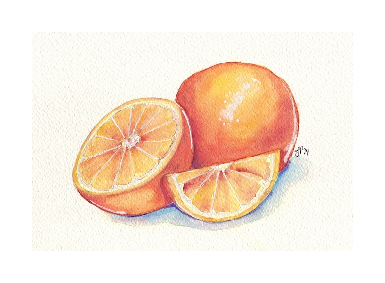 Oranges Still Life Watercolor Painting Orange Fruit Slice Watercolor