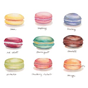 Macarons Menu Watercolor Painting Print French Cookies Rainbow Food Illustration Watercolor Art Print, 8x10 image 2