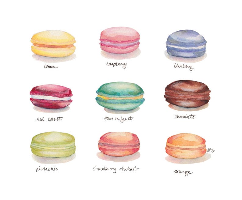 Macarons Menu Watercolor Painting Print French Cookies Rainbow Food Illustration Watercolor Art Print, 8x10 image 2