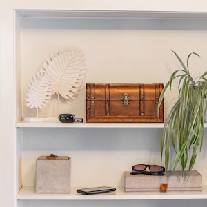 May include: A decorative shelf displays a variety of items. A wooden chest with metal accents sits next to a white leaf sculpture. Other items include a small concrete box, sunglasses, a smartphone, and a houseplant.