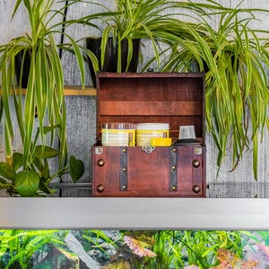 Può includere: Un piccolo forziere di legno aperto con dettagli in metallo, contenente diversi contenitori con etichette gialle e un oggetto nero. Il forziere è posto su uno sfondo di piante verdi e un muro di legno grigio chiaro.