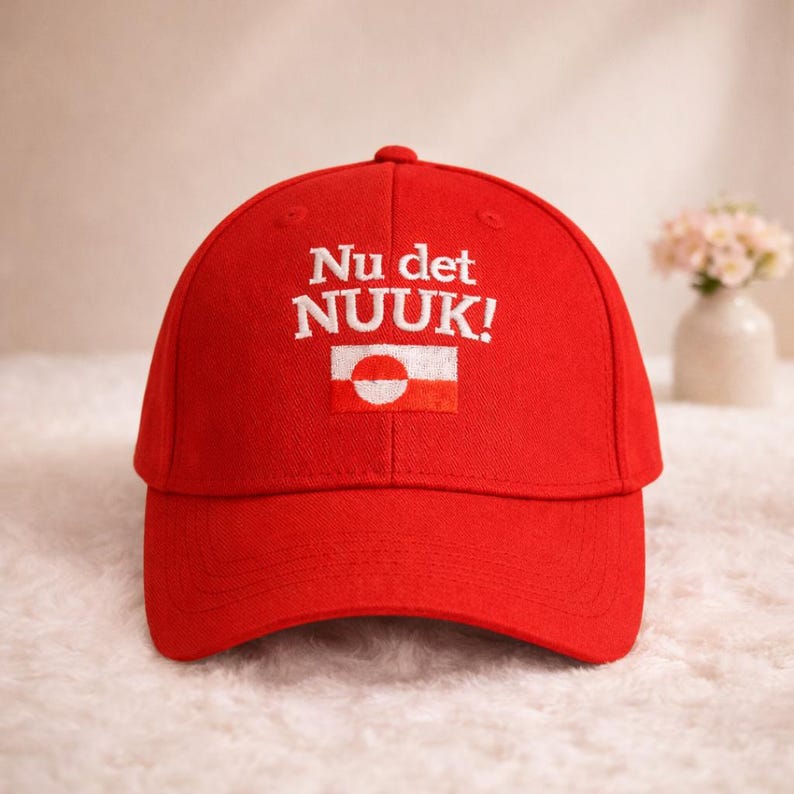 Make America Go Away Hat, Embroidered Nu Det Nuuk! Dad Hat, Funny Political Statement Cap, Anti Maga Humor Hat, Adjustable Baseball Cap