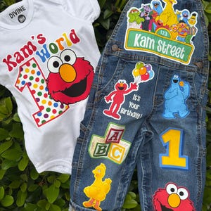 Custom Sesame Street Birthday Outfit – Elmo, Cookie Monster, Big Bird Theme – Personalized 1st Birthday Set for Boys or Girls