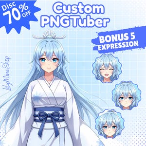 Custom Anime PNGTuber Model: VTuber Avatar Commission