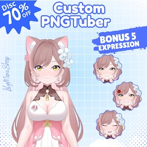 Pngtuber personalizzato / Commissione Pngtuber / avatar pngtuber / Png Tuber / anime / commissione anime / vtuber / modello vtuber / veadotube / pfp