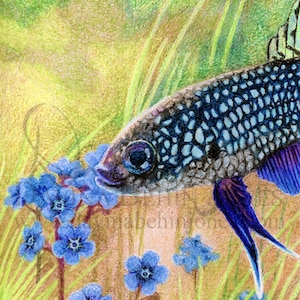 Könnte beinhalten: Ein blauer und schwarzer Fisch mit einem gepunkteten Muster schwimmt durch ein Feld mit blauen Vergissmeinnicht-Blumen. Der Fisch hat eine violette und blaue Schwanzflosse.