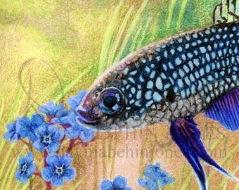 DIGITAL DOWNLOAD - Crayon Wild Betta