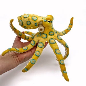 Blue-ringed Octopus image 2