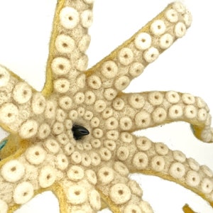 Blue-ringed Octopus image 9