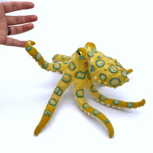 Blue-ringed Octopus image 1