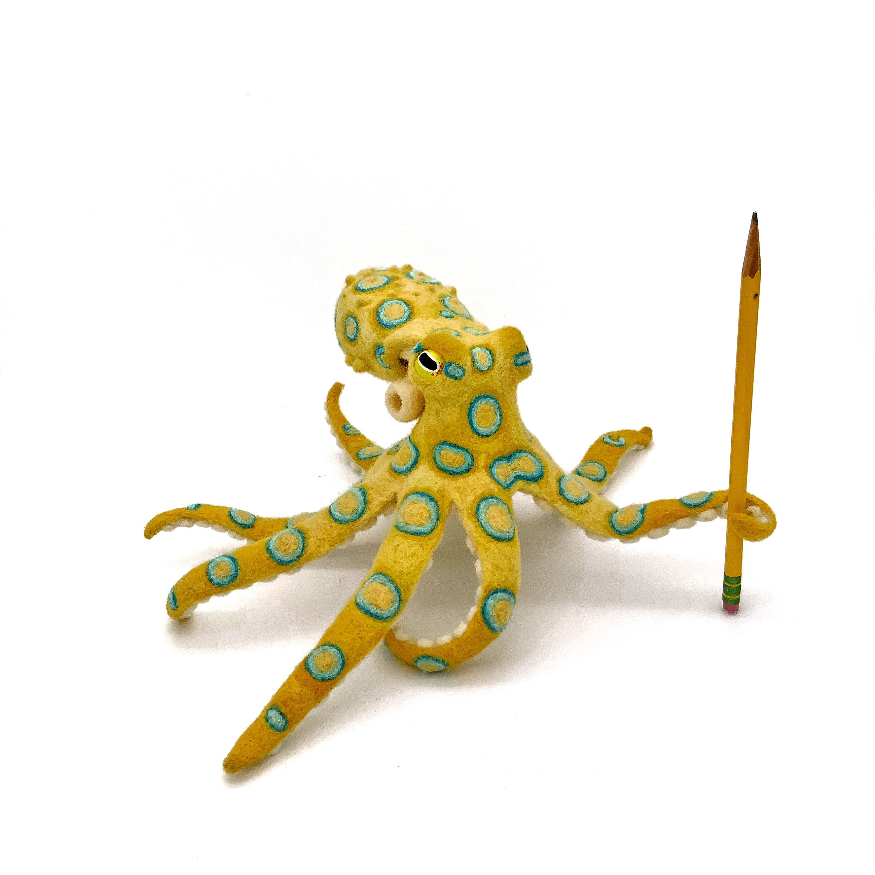 Blue ringed Octopus Etsy