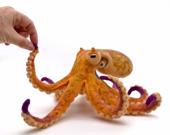 Two Spot Octopus