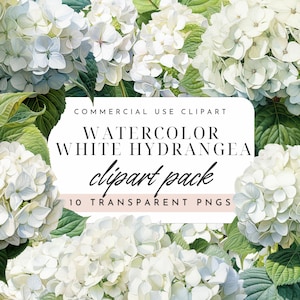 White Hydrangea Watercolor Clipart Set of 10 PNGs, Floral Digital Download, Wedding Flowers, Scrapbooking, Card Making, Sublimation