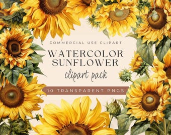 Set van 10 aquarel zonnebloem clipartafbeeldingen (PNG's), vintage bloemenclipart voor trouwuitnodigingen, scrapbooking en digitale dagboeken.
