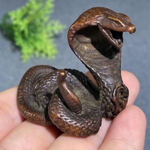 Op de afbeelding: Bronzen cobra beeldje. De slang is opgerold, met gedetailleerde schubben en een opgeheven kop. Het brons heeft een donkerbruine patina. De cobra heeft een open mond en een uitlopende kap. Het beeld wordt in een hand gehouden.
