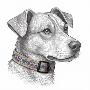 Coleira de cânhamo Blue Bird para cães