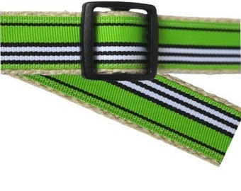 Dog Collar Stripes