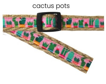 Dog Collar Cacti