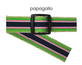 Dog Collar Preppy Stripes