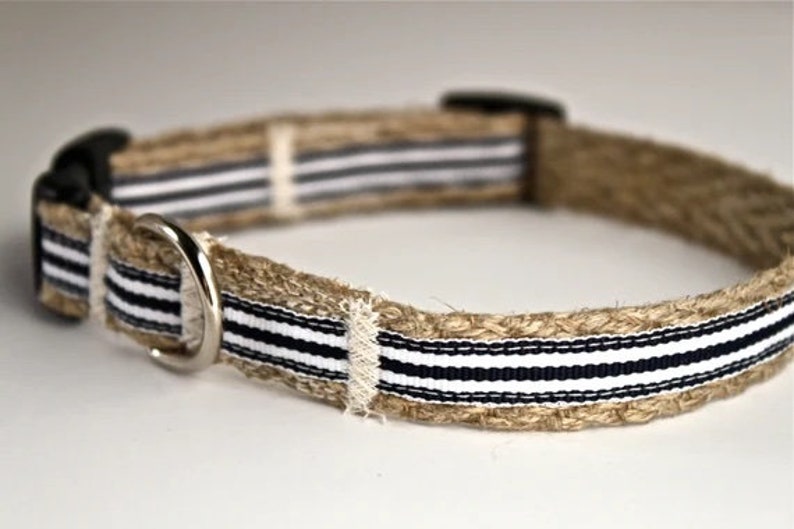 Dog Collar Nautical image 8