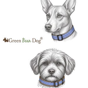 Collar para perro de cáñamo azul y blanco con estampado de chevrón imagen 3