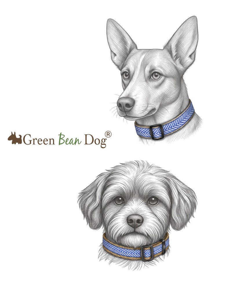 Collar para perro de cáñamo azul y blanco con estampado de chevrón imagen 3