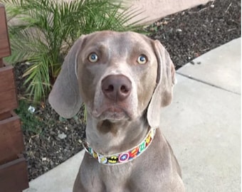 Dog Collar Super Hero Print