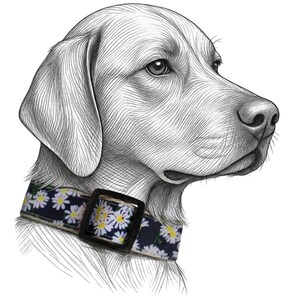 Coleira para cães Daisy Hemp
