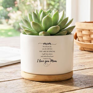 May include: A white ceramic planter with a succulent plant. The planter has a bamboo base and features the text "mom" and a loving message. A decorative gift for Mother's Day or any occasion.