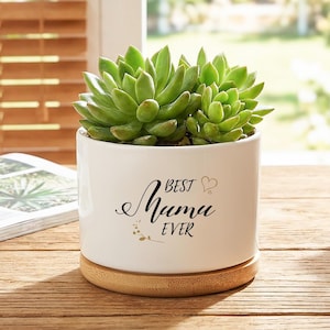 May include: A white ceramic planter with the text "BEST Mama EVER" in black script, holding a green succulent plant. The planter sits on a round, light brown wooden coaster. The background includes a window and a wooden table.