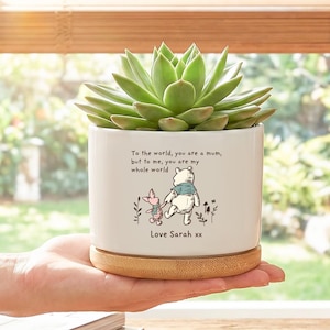 Może przedstawiać: Biała ceramiczna doniczka z sukulentem, z ilustracją Kubusia Puchatka i napisem "To the world, you are a mum, but to me, you are my whole world. Love Sarah xx." Doniczka stoi na drewnianej podstawie.