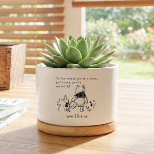 Puede incluir: Una maceta de cerámica blanca con una planta suculenta, con una base de bambú. La maceta tiene una ilustración de Winnie the Pooh y Piglet con el texto "To the world you're a mum, but to me, you're my world. love Ellie xx."