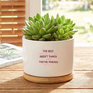 Może przedstawiać: Biała ceramiczna doniczka z rośliną sukulentową, na drewnianej podstawce. Na doniczce widnieje napis "THE BEST things in life AREN'T THINGS. THEY'RE FRIENDS like you." Sukulent jest zielony.