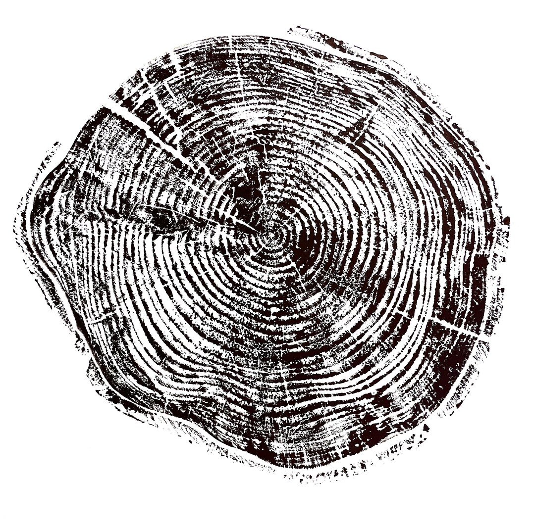 24 Inch Tree Rings Tree Ring(black) 24x24 - Etsy