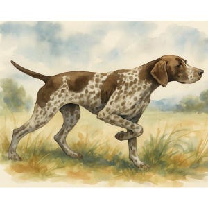 German Shorthaired Pointer Watercolor Print - Hunting Dog Wall Art - Field Dog Decor - Sporting Dog Gift - Rustic Country Home Decor
