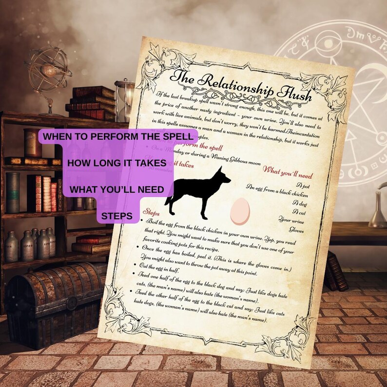 May include: A vintage-style parchment with the title "The Relationship Flush" and instructions for a spell. The document includes a silhouette of a dog, an egg, and handwritten text. The background features a bookshelf, a chest, and a decorative lamp.