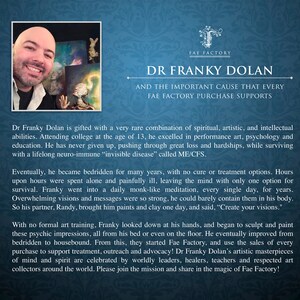 May include: A portrait of Dr. Franky Dolan, an artist who creates art to support a cause. The text reads "Dr. Franky Dolan and the important cause that every Fae Factory purchase supports".
