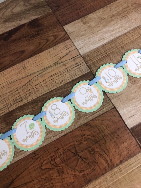 Mr. Rabbit Picture Hanging Banner Pastels First Birthday Milestone Gingham Easter Photo Just Born Brand New 0-12 Months BOY Il_570xn