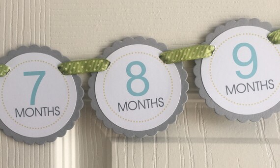 CUSTOM You Choose Colors First Year Picture Banner. Month by Month First Birthday. Pick your own colors and made to match ANY theme. Il_570xn