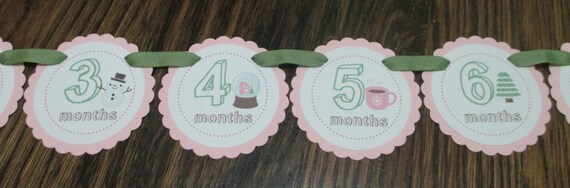 READY to SHIP Winter Cheer Banner: Just Born/0-12 month First Birthday Photo Picture Banner. First Birthday Banner. Picture Banner Pink Moss Il_570xn
