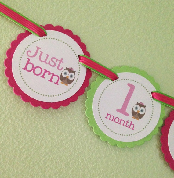 READY to SHIP Look Whoo's One Collection: Just Born/0-12 mos First Year Photo Banner. First Birthday Banner. Owl First Birthday. Owl Banner. Il_570xn