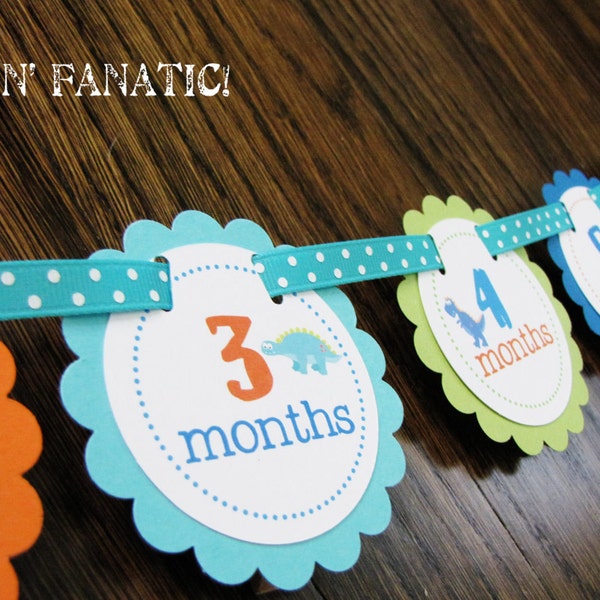 READY to SHIP Dashing Dino Collection: Just Born/0-12 Mos Dinosaur First Birthday Photo Picture Banner w/clips